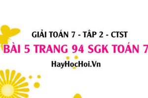 Giải bài 5 trang 94 Toán 7 tập 2 SGK Chân trời sáng tạo